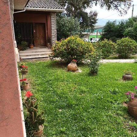 Vivenda Do Sobreiro Al Apartment Serpins Exterior photo