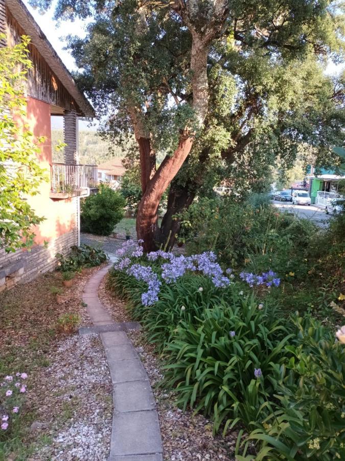 Vivenda Do Sobreiro Al Apartment Serpins Exterior photo